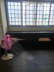 Blk 332 Hougang Avenue 5 (Hougang), HDB 4 Rooms #490467091